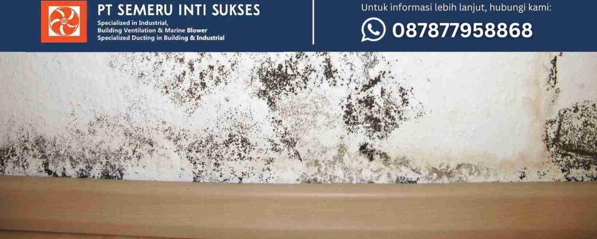 distributor exhaust fan